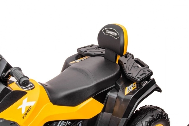 Quad Elettrico Giallo 24V