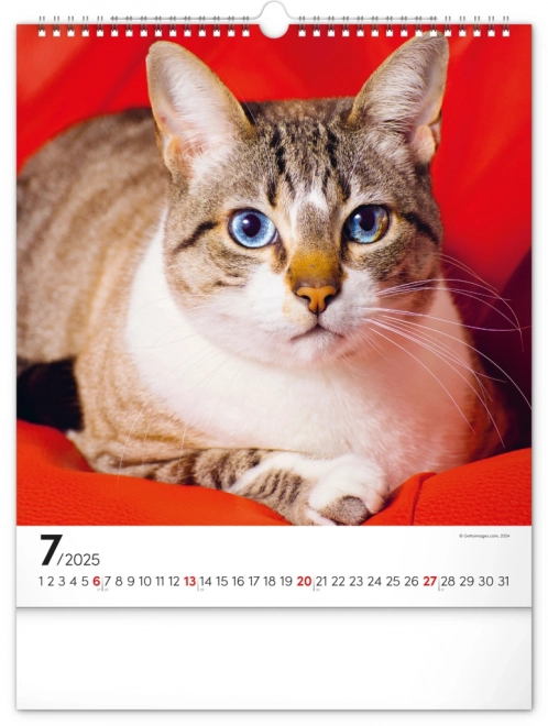 Calendario da parete Gatti 2025