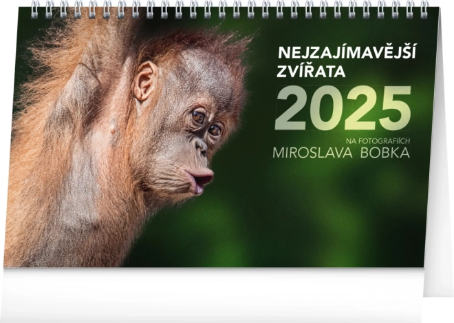 Calendario da tavolo Animali Straordinari 2025