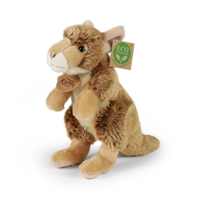 Riempimento eco-friendly da bottiglie PET riciclate