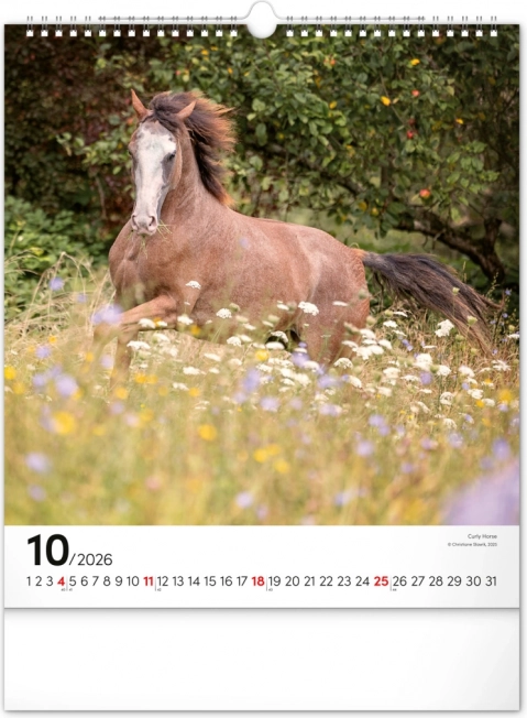 Calendario da parete cavalli 2026