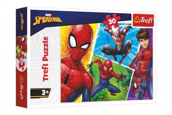 Illustrazioni colorate di Spider-Man