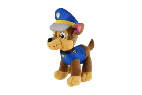 Figura della Paw Patrol Personaggio di peluche 6 tipi