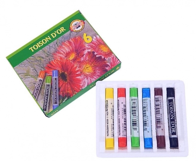 KOH-I-NOOR Pastelli secchi artistici 6pz