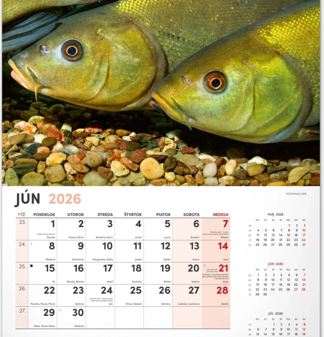 Calendario da parete di pesca 2026