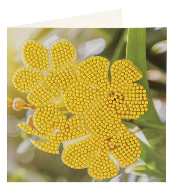 Pittura con pietre diamantate auguri 2 pz 13x13 cm