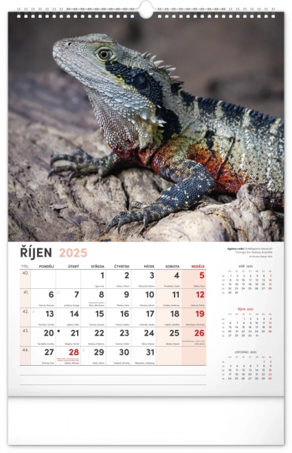 Notique calendario da parete animali affascinanti 2025