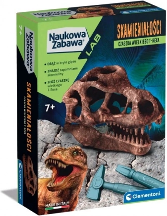 Set scientifico fossile cranio di T-Rex