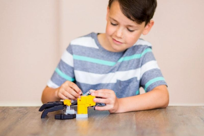 Divertimento per bambini dagli 8 anni