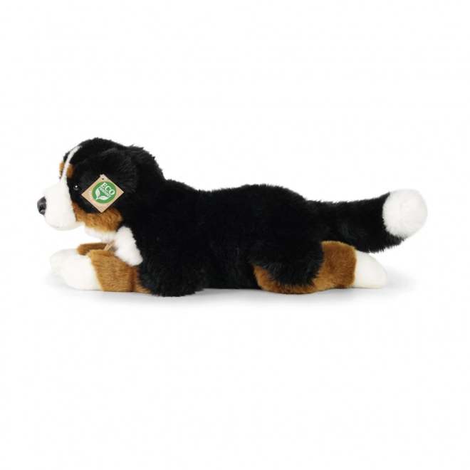 Cane da montagna bernese ecologico in peluche 44 cm