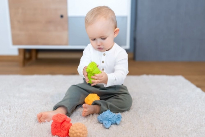 Veicoli sensoriali con palline 2 in 1 Tullo