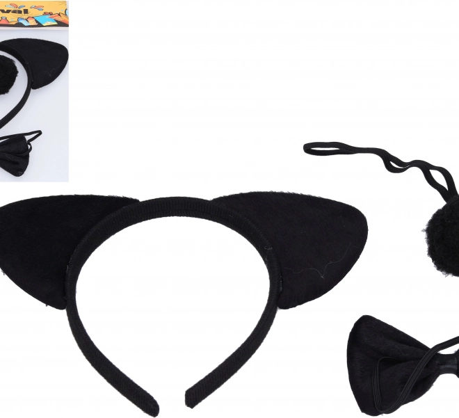 Set carnevale - Orso