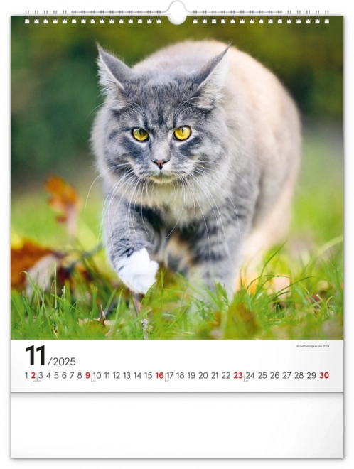 Calendario da parete Gatti 2025