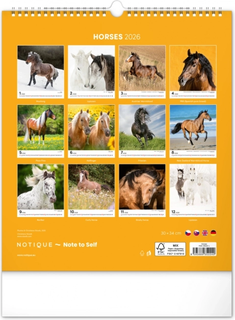 Calendario da parete cavalli 2026