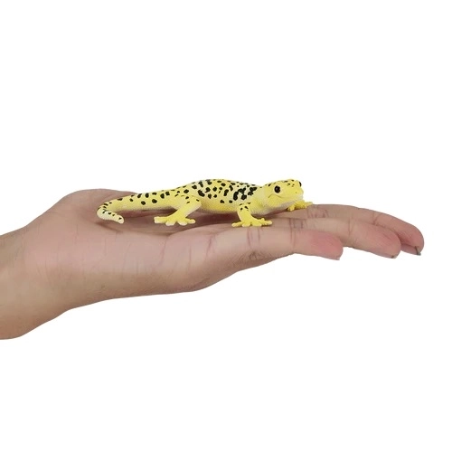 Geko Leopardo Notturno Mojo