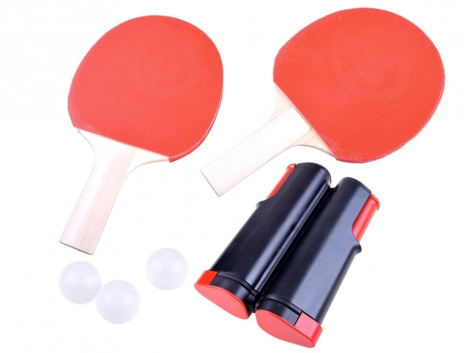 Set da ping pong portatile