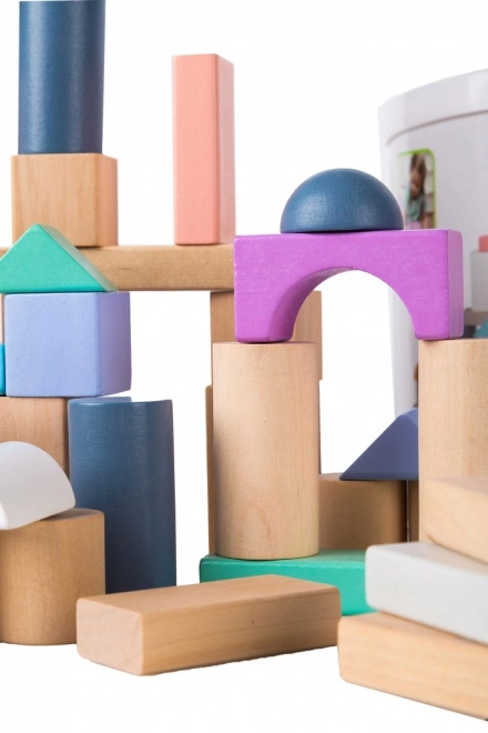 Blocchi di legno per bambini con contenitore Ecotoys