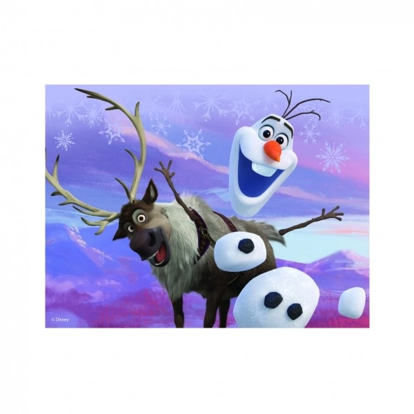 Cubi in legno Frozen