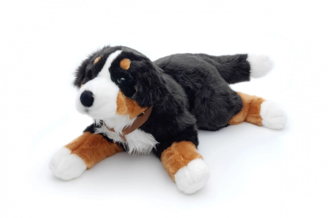 Berner Sennenhund in Peluche 65 cm