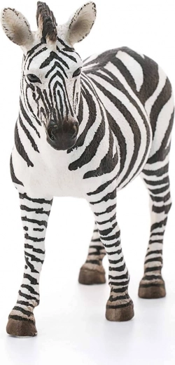 Ideale per collezioni e apprendimento