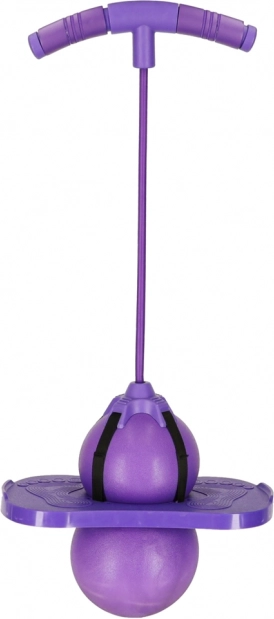 Saltatore a Pogo per l'equilibrio dei bambini viola