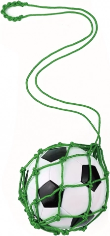 Allenatore di calcio