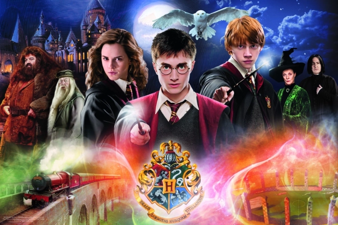 Puzzle 300 Pezzi Misterioso Harry Potter