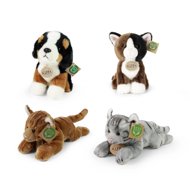 Esposizione peluche esclusivi cani e gatti eco-friendly