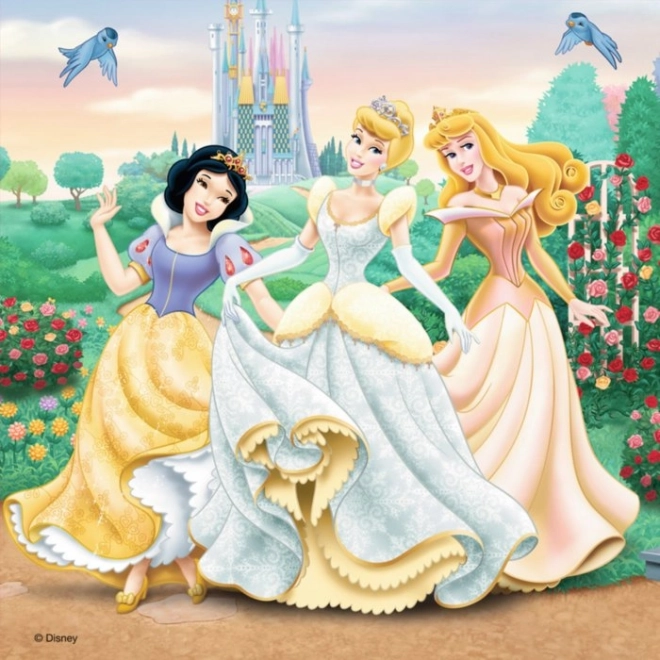 Puzzle Disney Principesse: Sogni