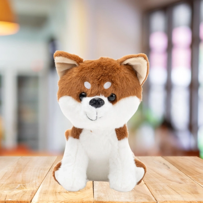 Cane di peluche Shiba Inu marrone-bianco 20 cm