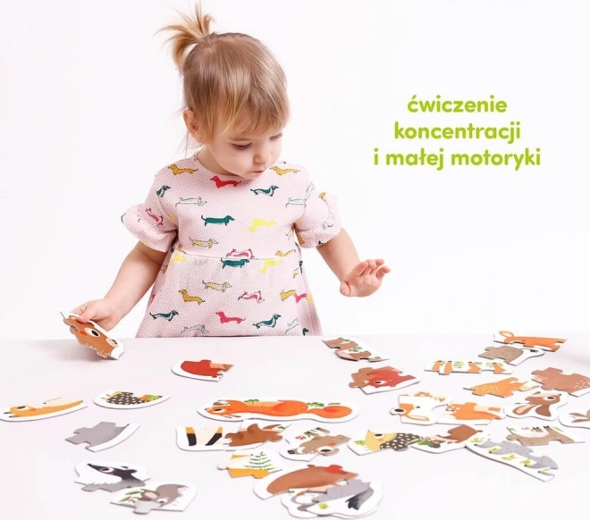 Puzzle progressivi - Animali nella foresta