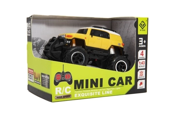 Mini SUV RC auto in plastica