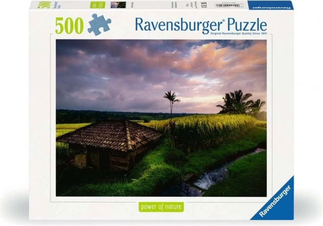 Puzzle Campi di Riso a Bali 500 Pezzi