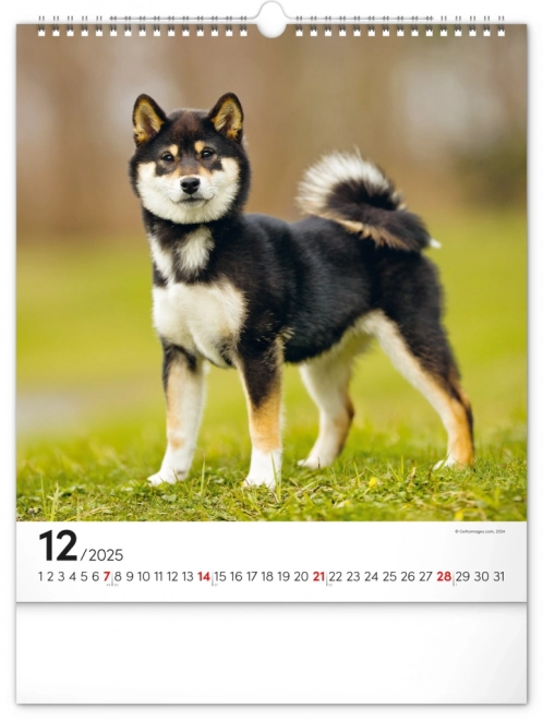 Calendario da muro cani 2025