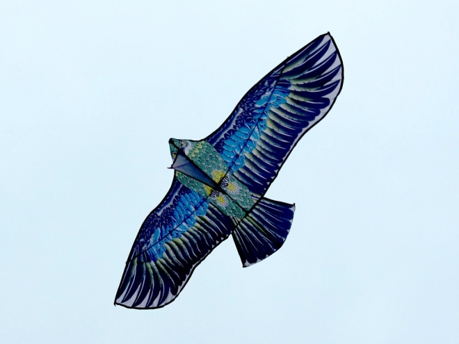 Grande aquilone leggero aquila - Realistico uccello predatore