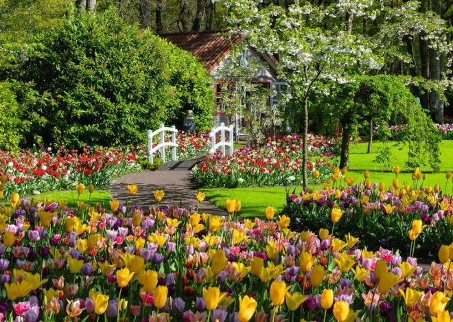 Affascinante motivo dei giardini di Keukenhof