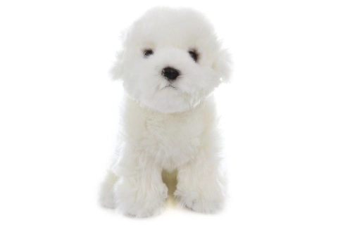 Maltese in peluche 31 cm