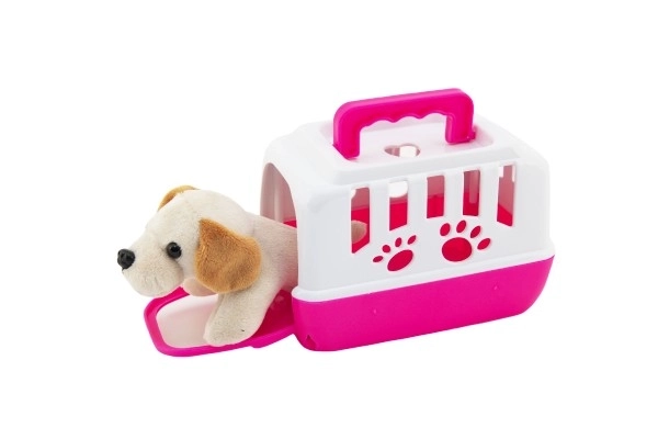 Cagnolino Peluche Con Box Portatile