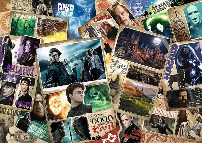 Puzzle Harry Potter: Personaggi 2000 Pezzi