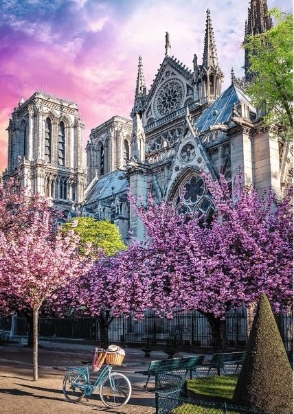 Puzzle 1000 Pezzi Premium Qualità Cattedrale Notre-Dame, Parigi