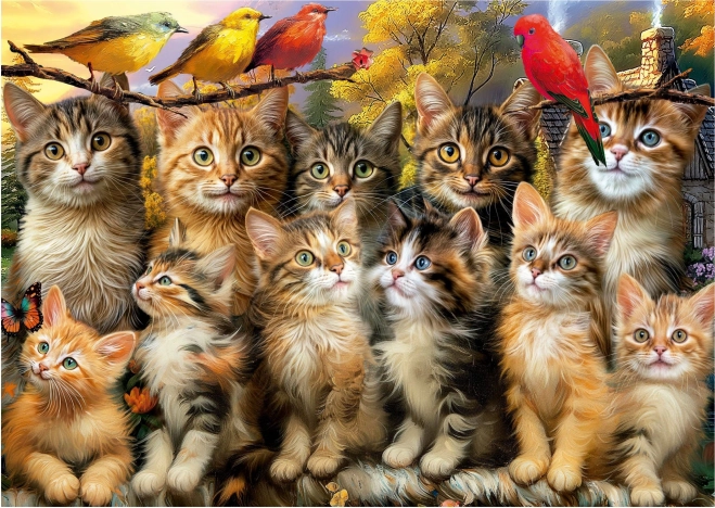 Puzzle Gatti e Uccelli 500 Pezzi