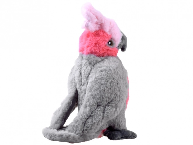 Peluche Pappagallo Rosa Cacatua