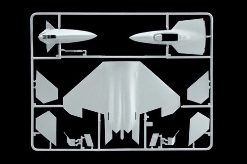 Modello in plastica F-22 Raptor