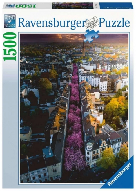 Puzzle 2D 1500 pezzi: Bonn di Ravensburger