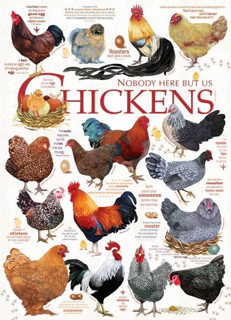 Puzzle Cobble Hill Citazioni di Galline 1000 pezzi
