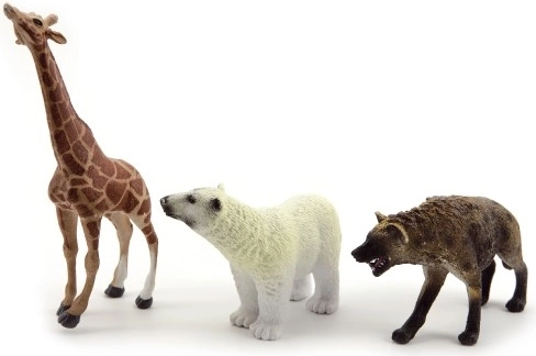 Plastica resistente e dimensione perfetta