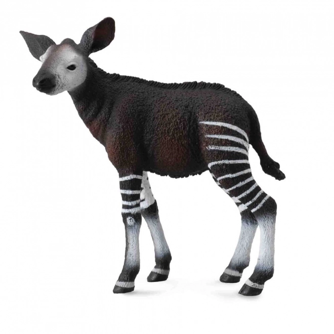 Giovane Okapi di COLLECTA