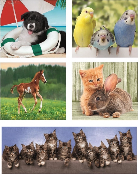 Puzzle Clementoni 10 in 1 - Amici Animali