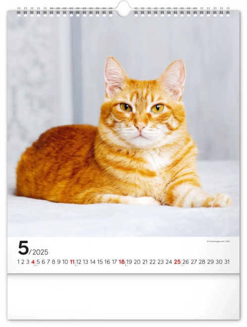 Calendario da parete Gatti 2025