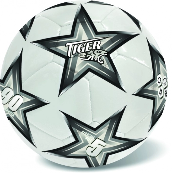 Palla da calcio in cuoio argento n.5